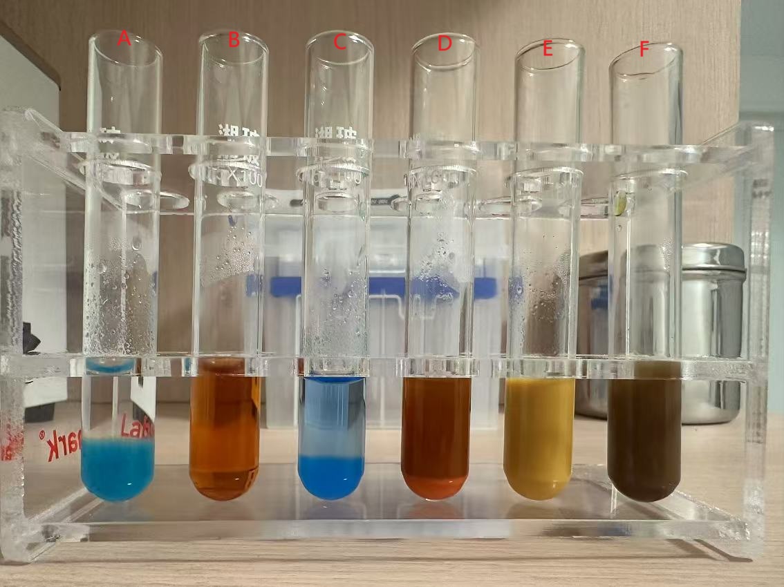 不同溶液与斐林试剂加热反应5min后的沉淀及颜色反应 还原糖检测实验结果